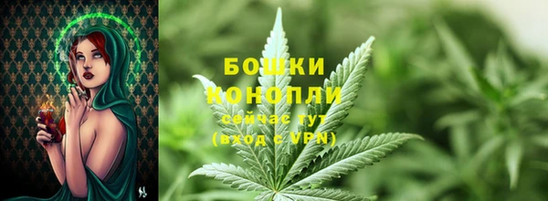 крисы Бородино