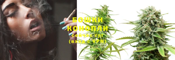 крисы Бородино