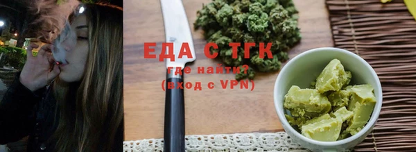 крисы Бородино