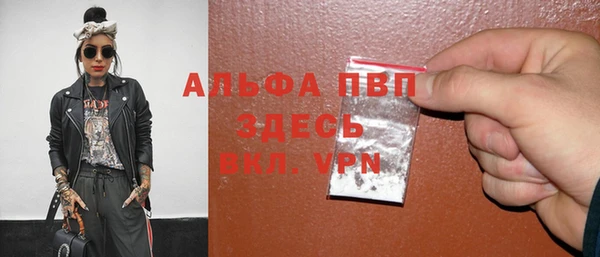 крисы Бородино