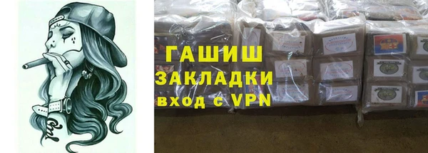 крисы Бородино