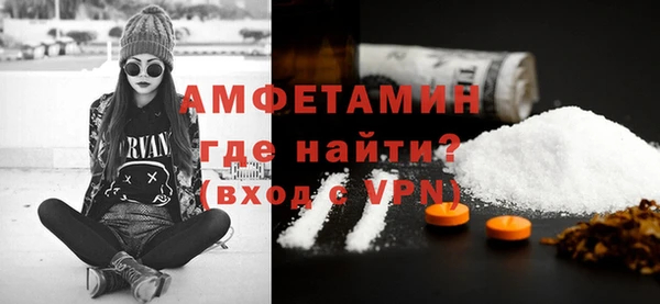 крисы Бородино