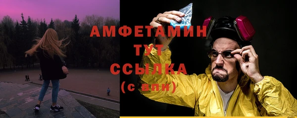 крисы Бородино