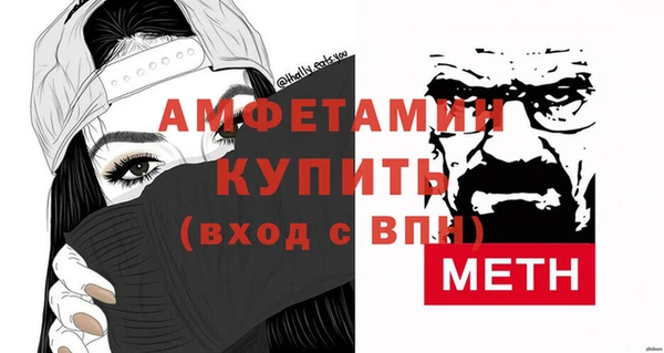 крисы Бородино