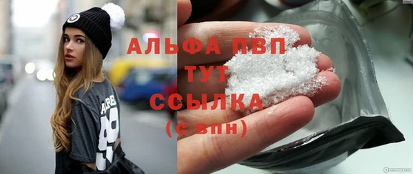 крисы Бородино