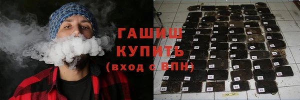 крисы Бородино