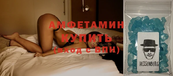 крисы Бородино