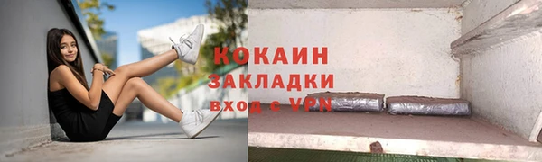 крисы Бородино