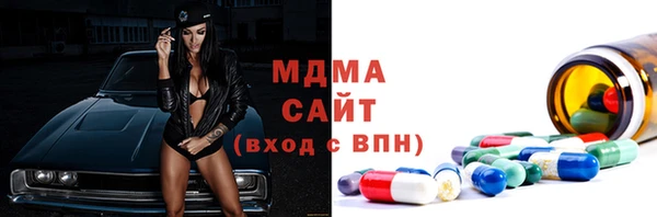 крисы Бородино