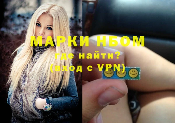 крисы Бородино
