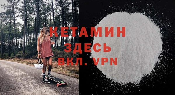 крисы Бородино