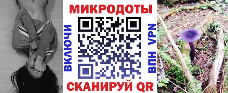Псилоцибиновые грибы Psilocybine cubensis  Купить  Павлово 